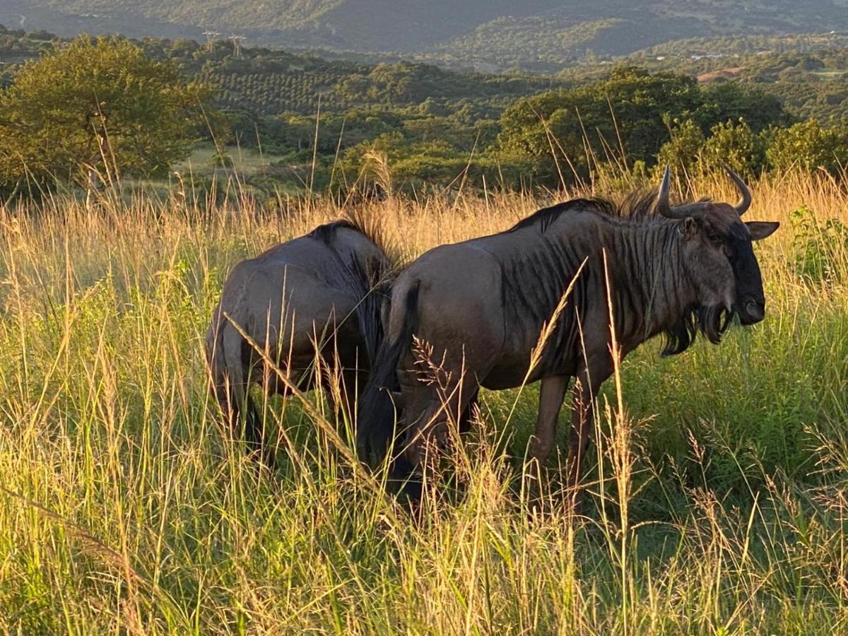 Ndhula Luxury Tented Lodge Вайт-Рівер Екстер'єр фото